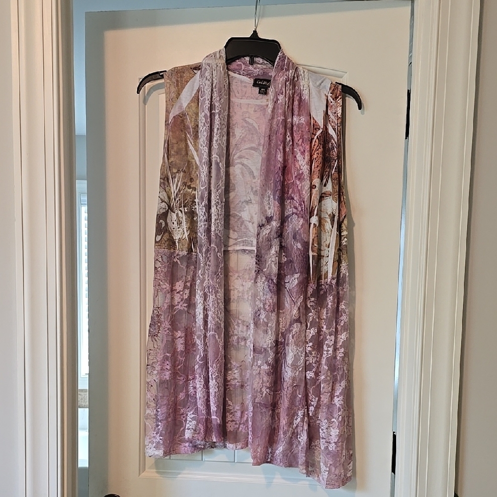 Sheer Pink and Brown Sleeveless Vest